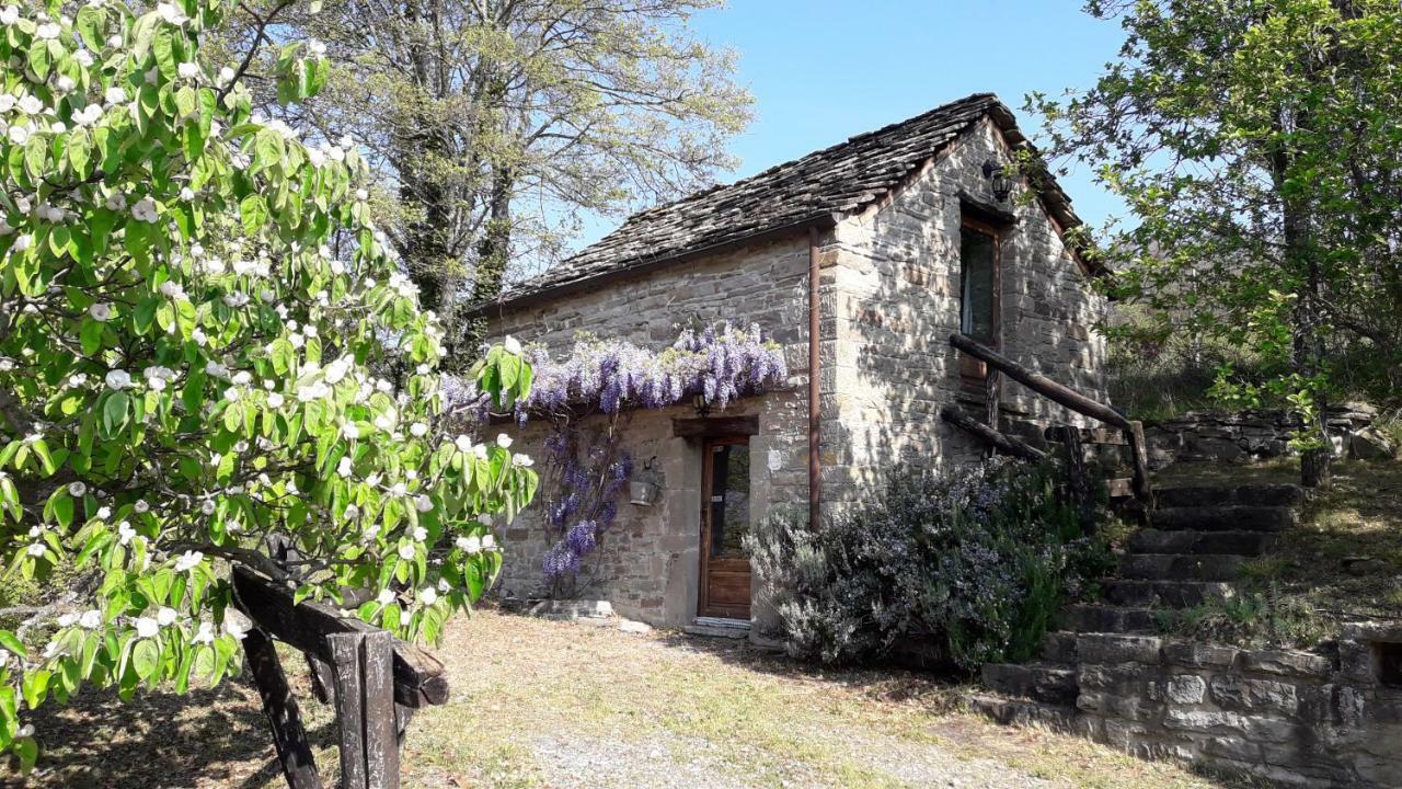 Villa Ca' D'Alfieri Bardi Exterior foto